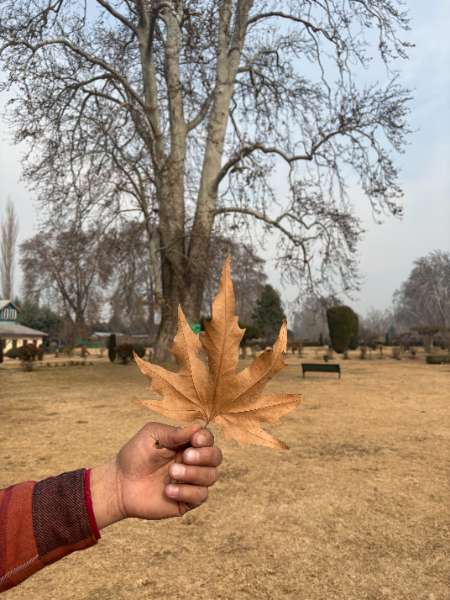 Kashmir Trip Photo 16