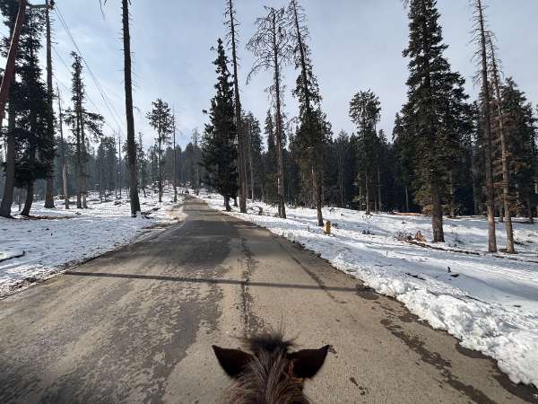 Kashmir Trip Photo 28