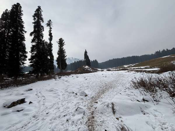 Kashmir Trip Photo 33