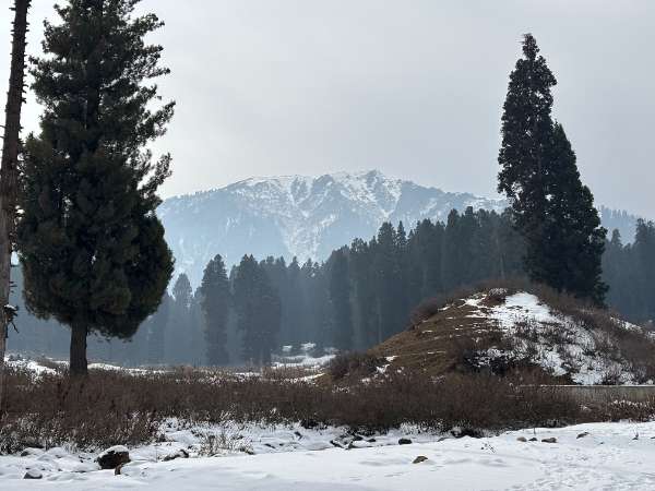 Kashmir Trip Photo 34