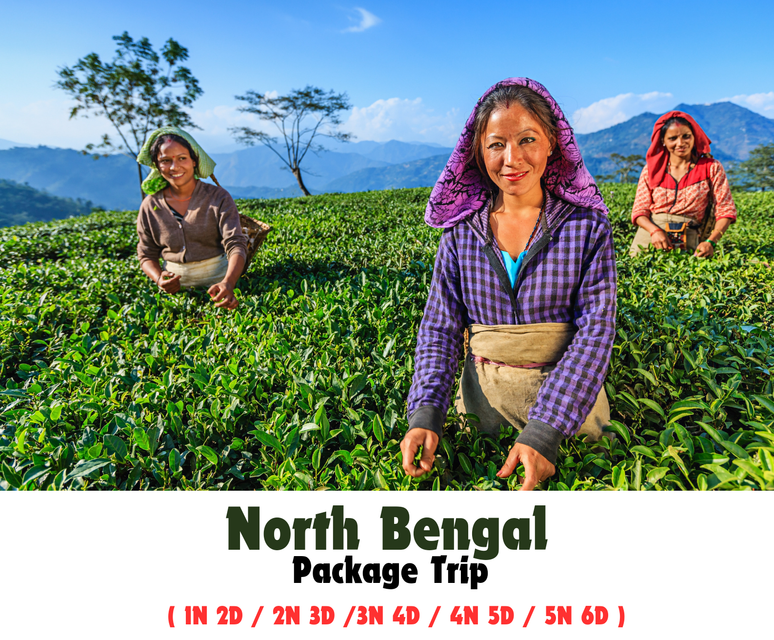 Dooars Wildlife Safari 3N4D