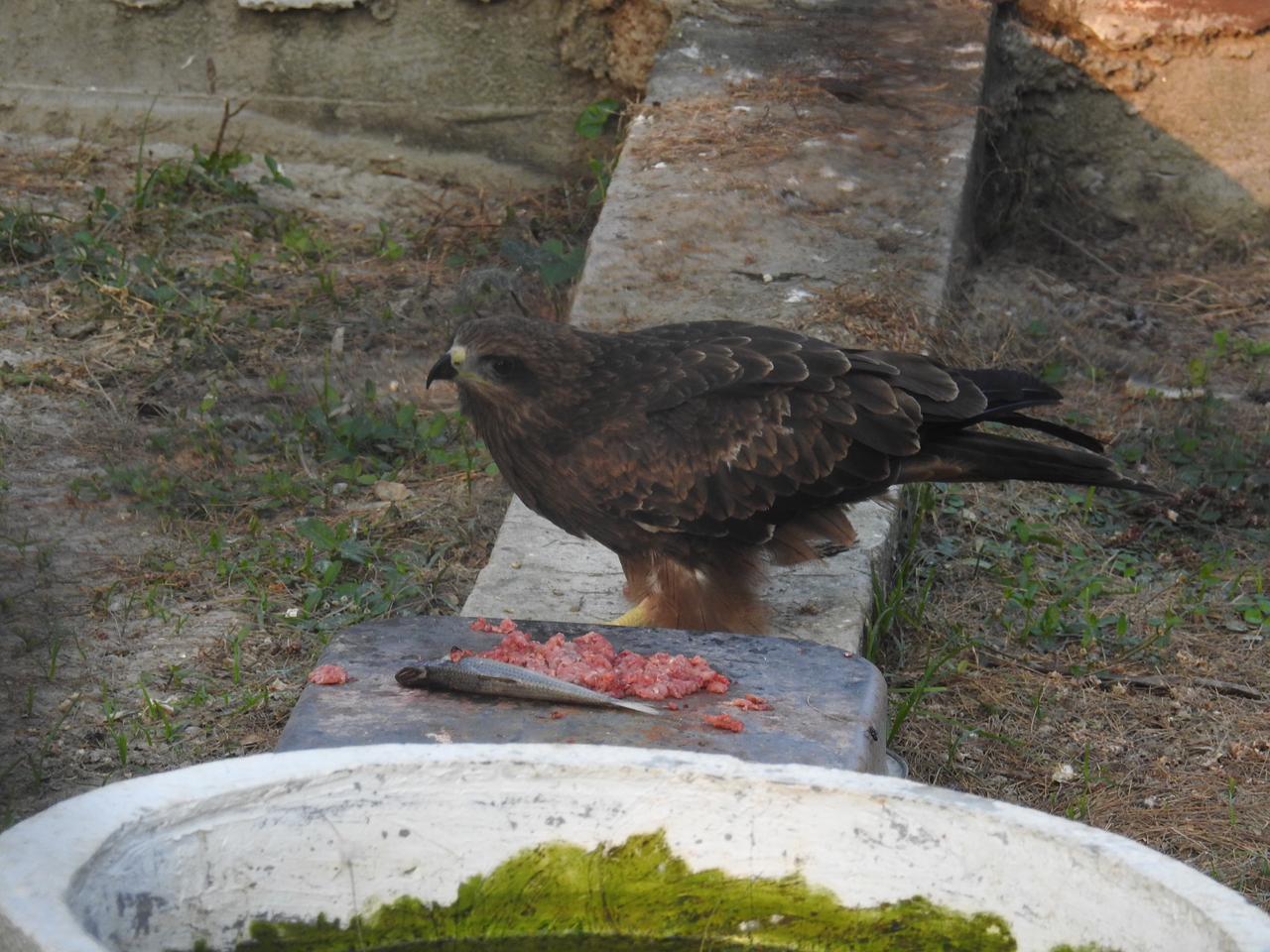 Wildlife Photography Tour