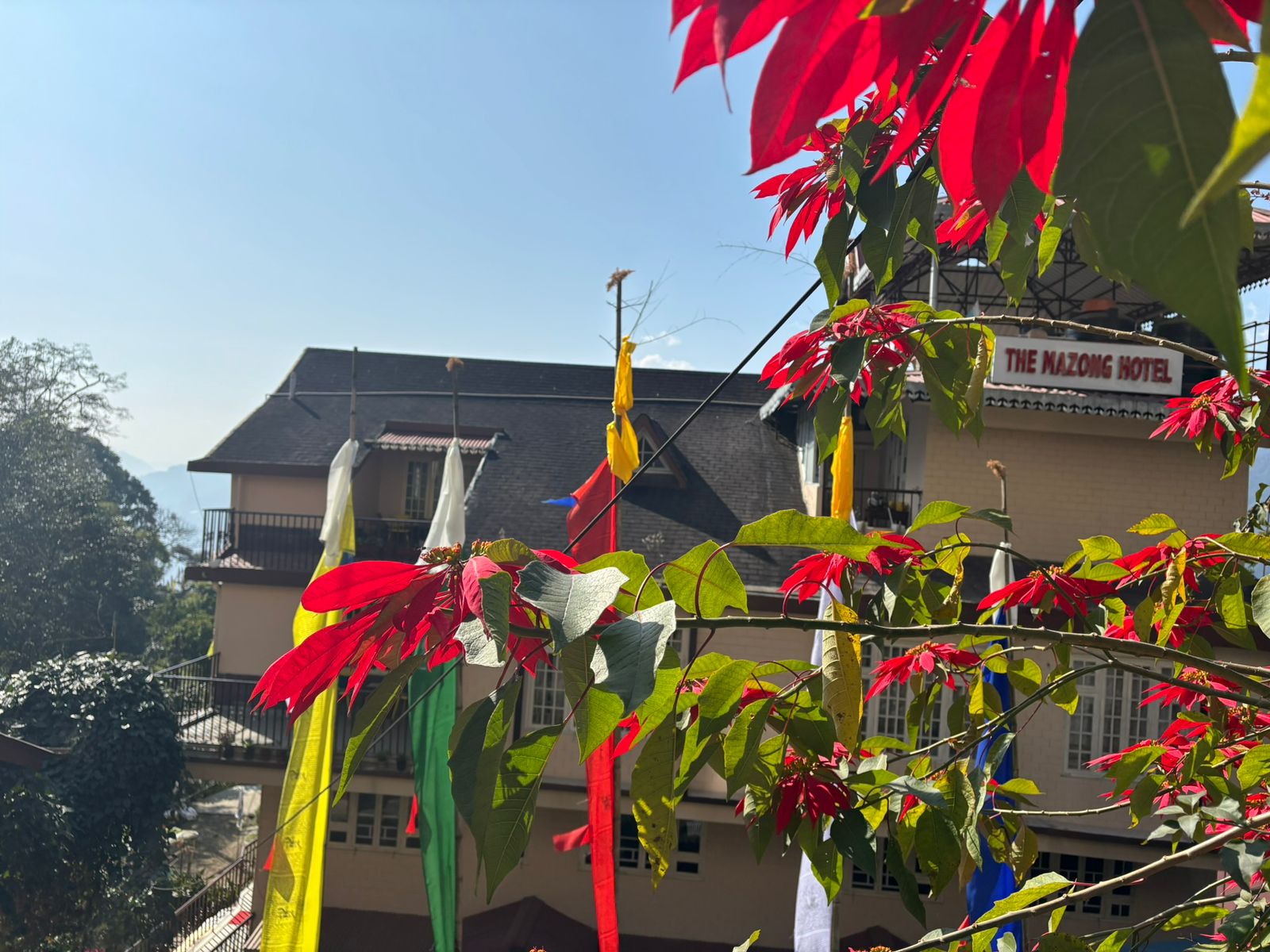 Sikkim Travel Photo 39